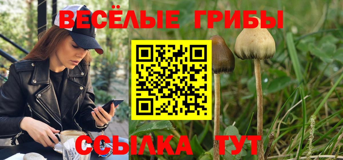 Псилоцибиновые грибы Psilocybe  Вход с VPN  Арзамас  Галлюциногенные грибы ЛСД 